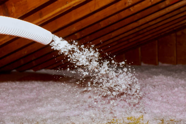 Insulation Replacement Services in Rapids, NY