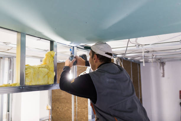 Best Garage Insulation Installation  in Rapids, NY
