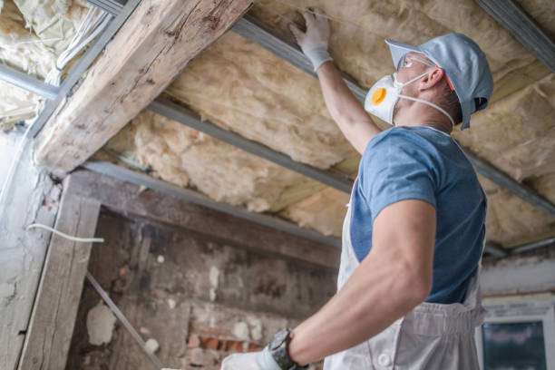 Best Residential Insulation Services  in Rapids, NY
