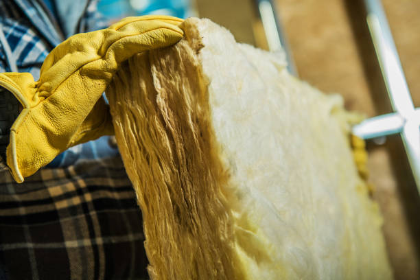 Best Home Insulation Services  in Rapids, NY