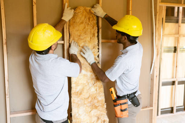 Best Insulation Removal Services  in Rapids, NY