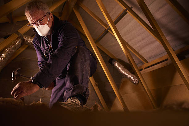 Best Insulation Inspection Services  in Rapids, NY
